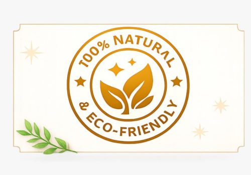 WhatsApp Image 2026-01-12 at 11.04.53 AM